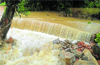 Rain, wind create chaos uproots trees, rivers high